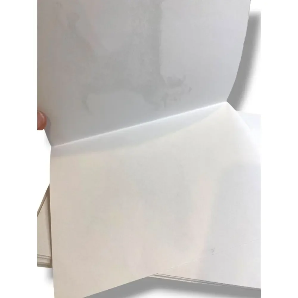 Set of 18 Blank Note Cards and Envelopes Welsh Terrier Pen Ink Print